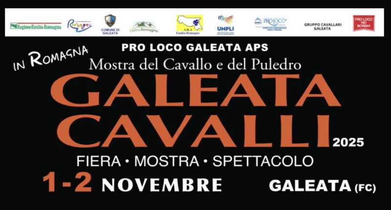 Galeata Cavalli 46 edizione