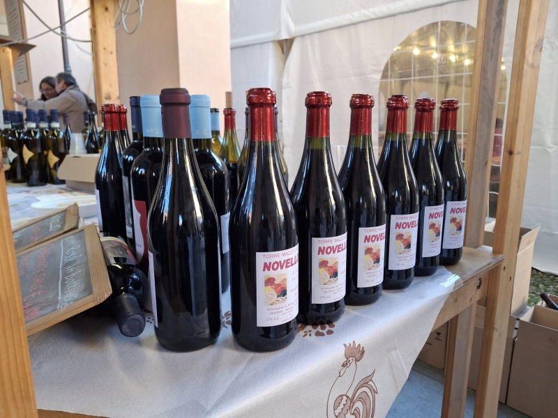 29ma Festa de Brazadèl da la Crôs e del vino novello