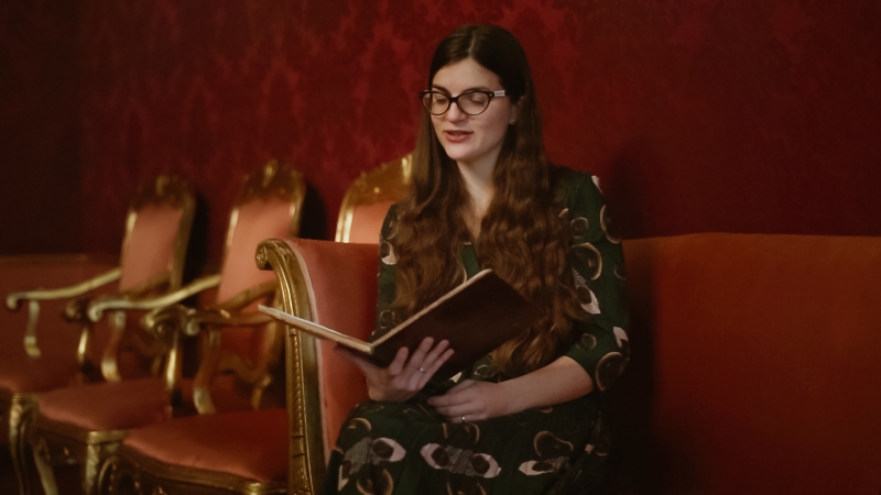 IL MERAVIGLIOSO VIAGGIO DI NILS HOLGERSSON