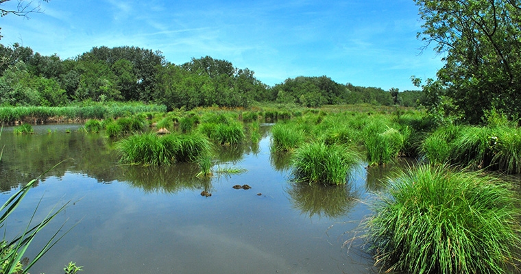 GIORNATA MONDIALE DELLE ZONE UMIDE 2026