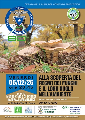 IL REGNO DEI FUNGHI