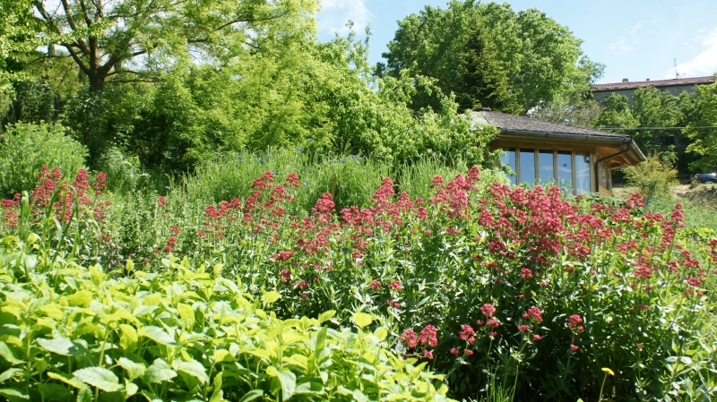 Dormire bene - comprendere l'insonnia e pratiche per rilassarsi