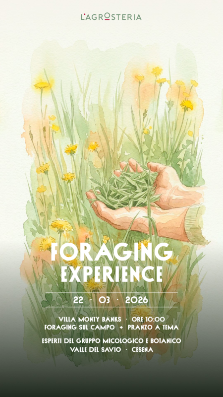 Foraging Experience a Cesena