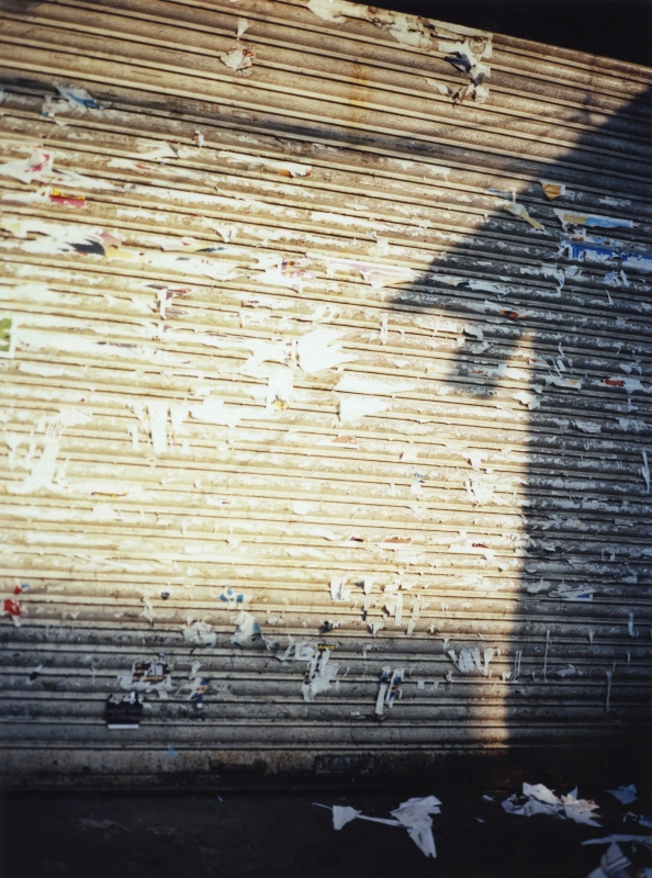 Stefania Rössl - All I look at looks at me / Tutto ciò che guardo mi guarda