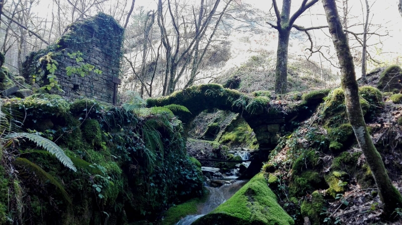 Escursione sul Sentiero del Partigiano Janosik 