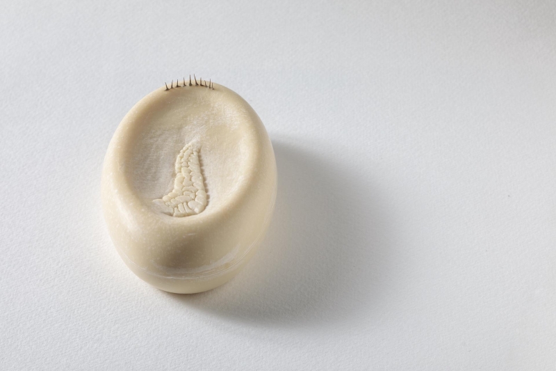 Molteplice senza disordine. Alice Cattaneo, Elisabetta Di Maggio, Remo Salvadori