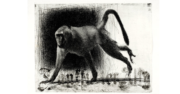 FRANCO FANELLI.  ACQUEFORTI E ALTRE METAMORFOSI