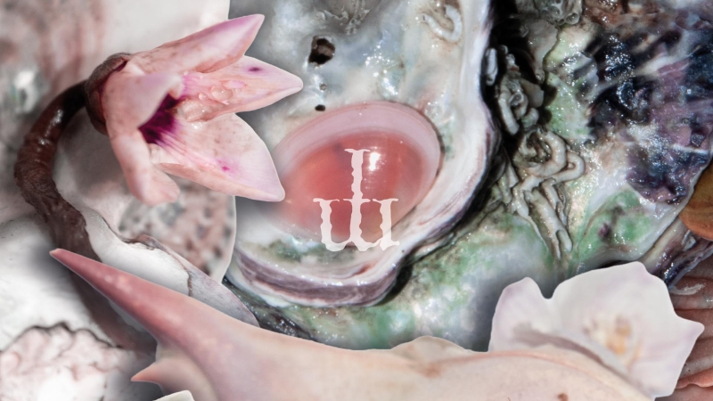 ELEMENTI Settima edizione