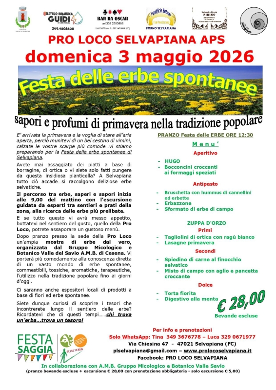 Festa delle Erbe Spontanee a Selvapiana