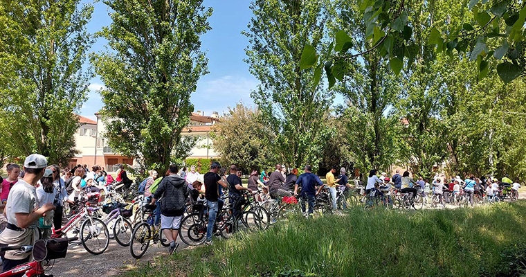Inalberiamoci in bici