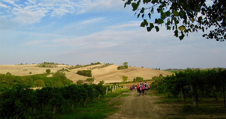 Camminata all'alba, wellness e natura. Saluto al Sole