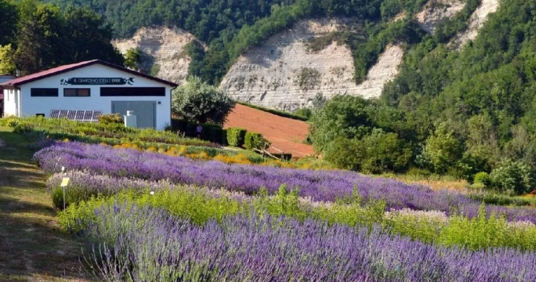 Erbe in Fiore: Pranzo in Giardino Casola Valsenio