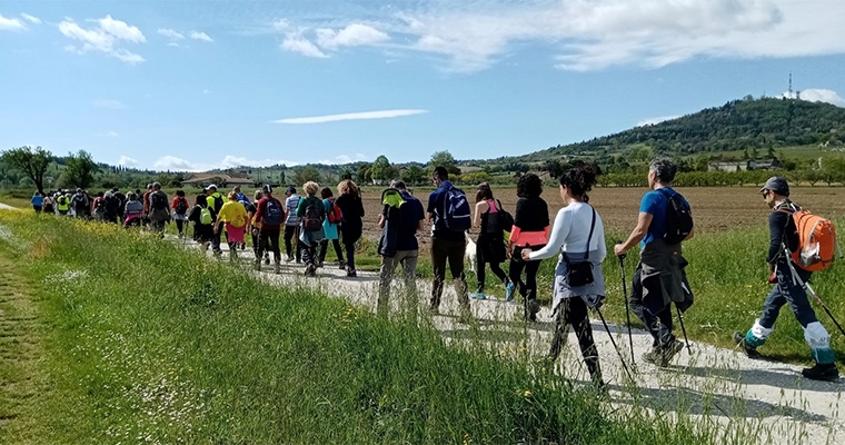 Drinkin' Jazz Festival 2026: Trekking guidato