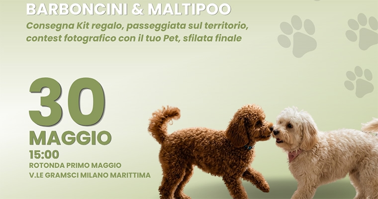 Dog Parade 2026