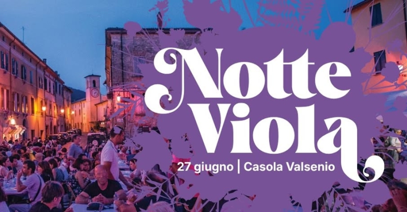 Notte Viola