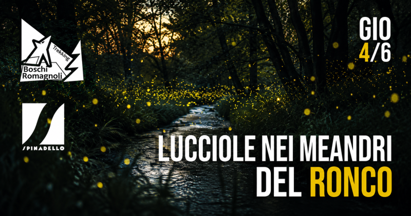 Lucciole nei meandri del Ronco