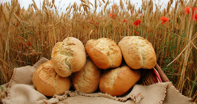 Festa del pane