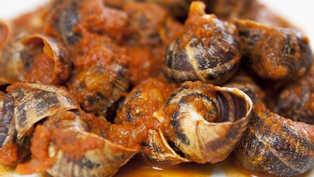 Facciamo la festa alla lumaca