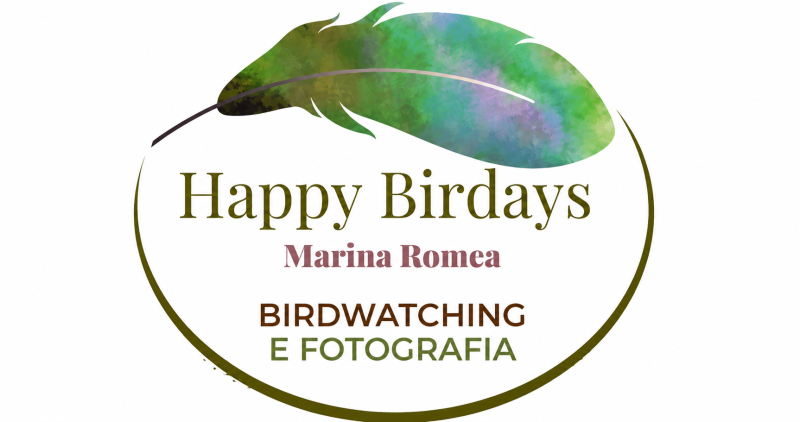 Happy Birdays - Birdwatching e Fotografia