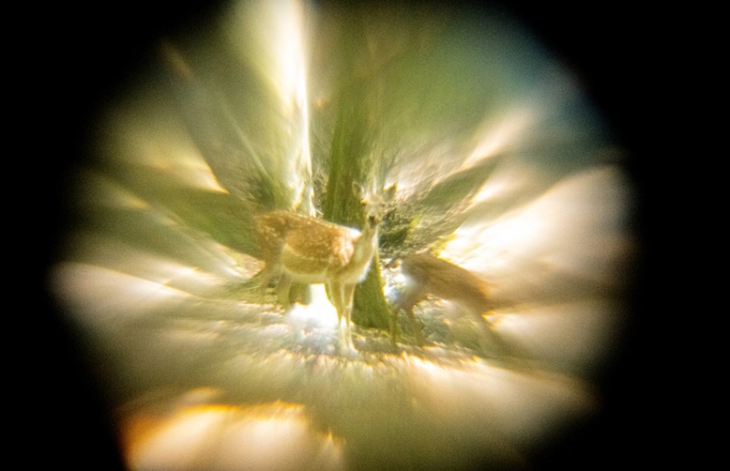 Nessun cielo &egrave; senza luce