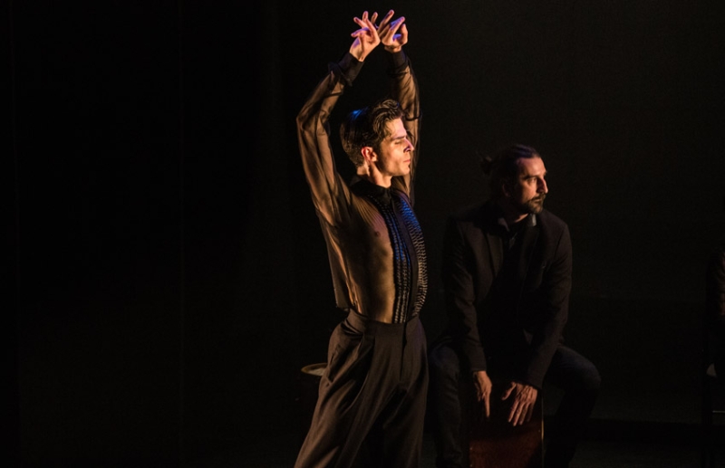 Sergio Bernal Dance Company