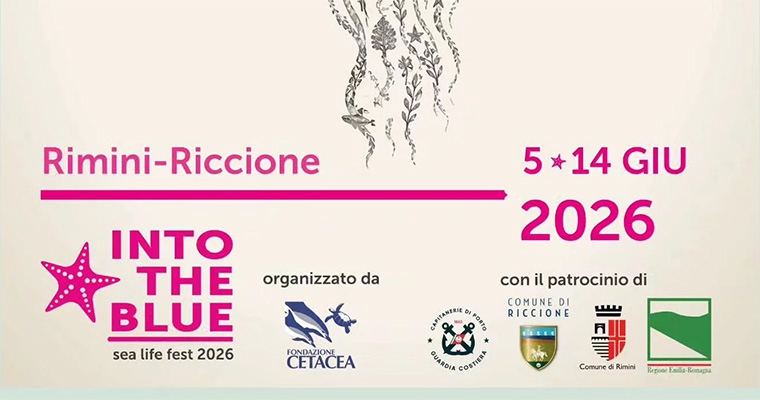 Into The Blue - Sea Life Fest