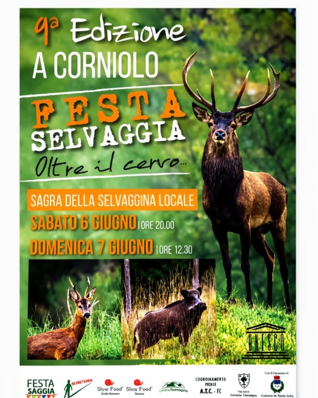 Festa Selvaggia 9a edizione