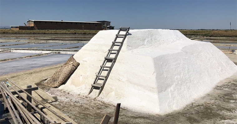 Traces of an ancient roman salt pan