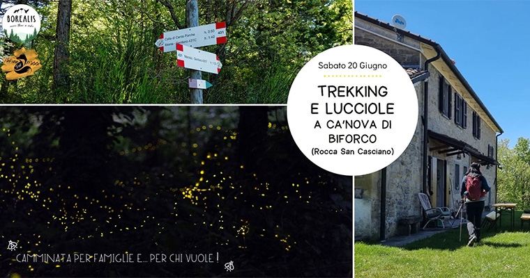Trek e Musica
