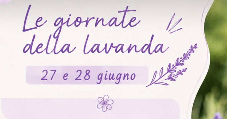 Le giornate della Lavanda