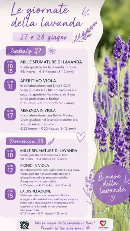 Le giornate della Lavanda