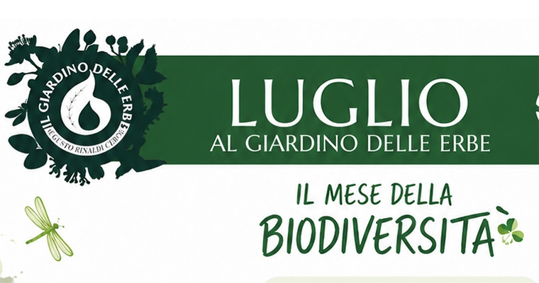 Un Giardino di Insetti