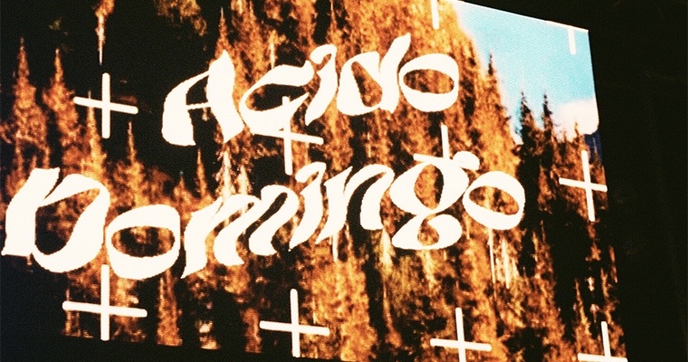 Acido Domingo block party