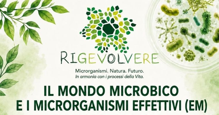 IL MONDO MICROBICO E I MICRORGANISMI EFFETTIVI