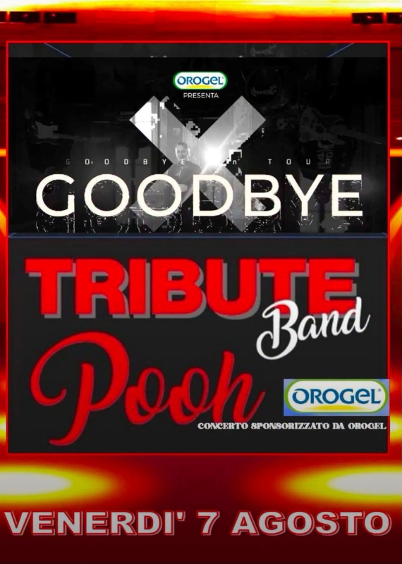 Tribute Band Pooh e LUCA BERGAMINI