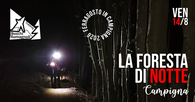 Escursione Notturna a Campigna