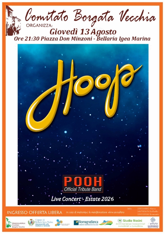 Hoop Official Tribute Band LIVE