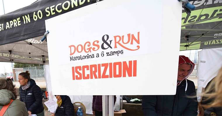 Dogs & Run