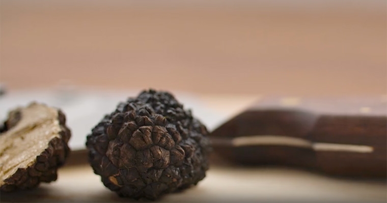 Sagra Sua Maestà il Tartufo
