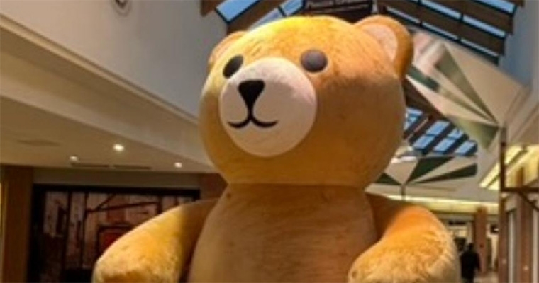 Mr TEDDY weekend a Puntadiferro