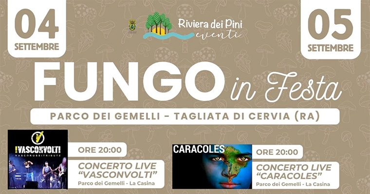 Fungo in festa