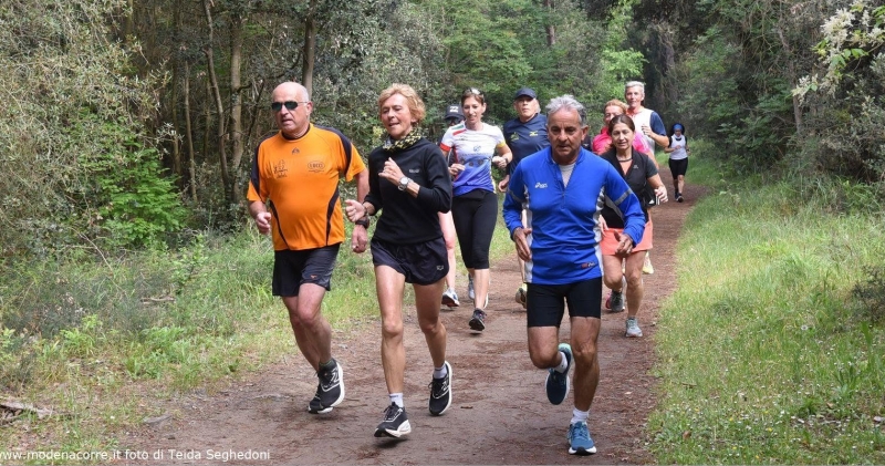 11a Camminata della Piallassa