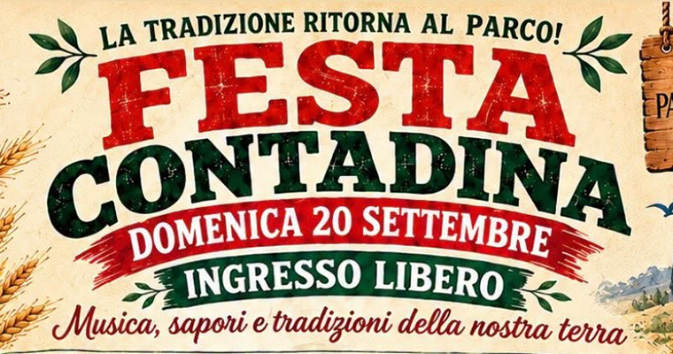 Festa Contadina