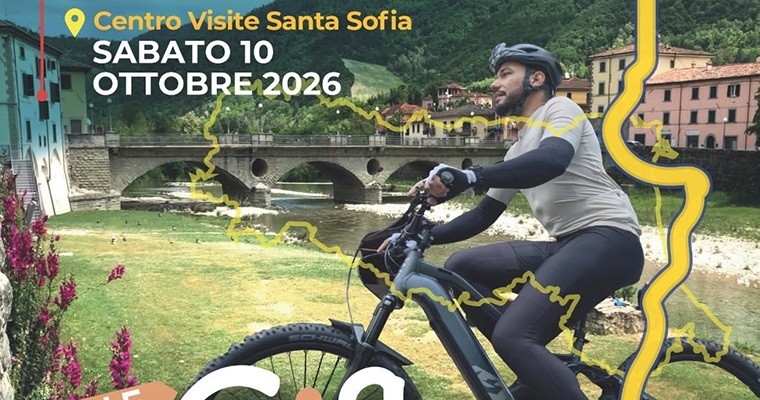 In vinco Veritas Santa Sofia