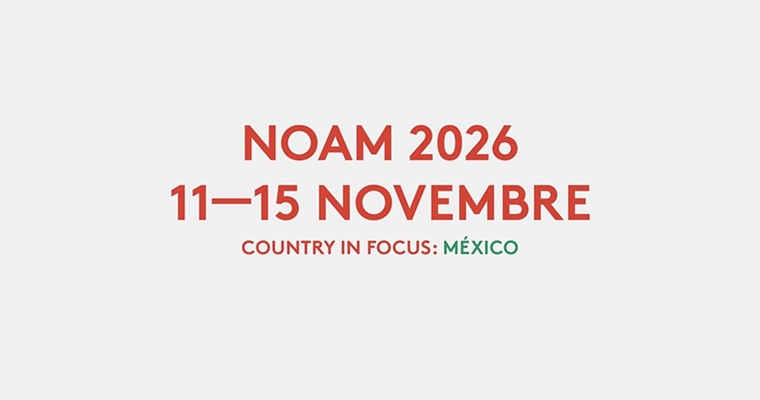 NOAM FAENZA FILM FESTIVAL 2026