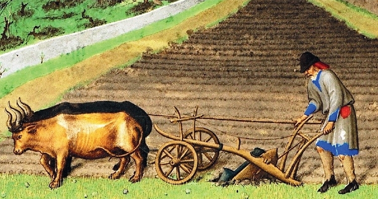 Grano, vigneti e vino: la Romagna agricola del Medioevo nel nuovo libro di Oreste Delucca