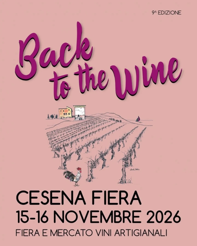 Back to the Wine