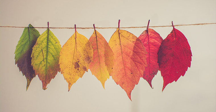 Giornate FAI d’autunno: Palazzo Oir apre le porte al pubblico