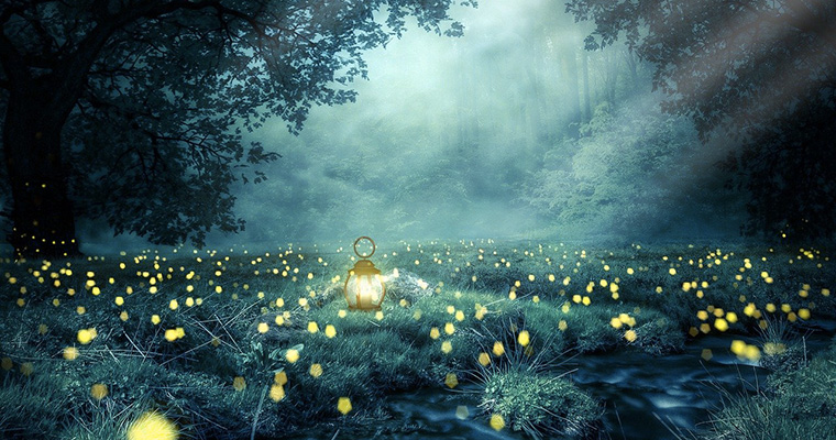 Natura nella notte