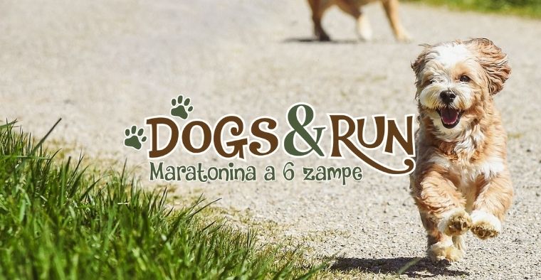 Dogs & Run